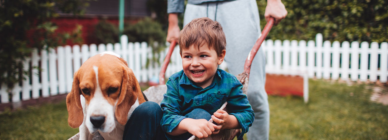 Father pushing son and dog in wheelbarrow. 